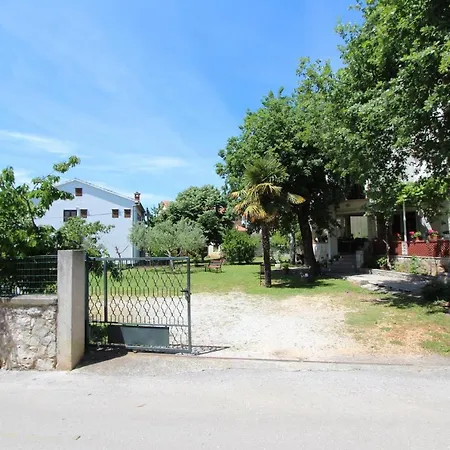Apartment And Dino
