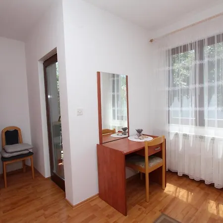 Apartment And Dino *
