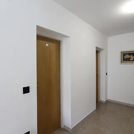 Apartment And Dino *
