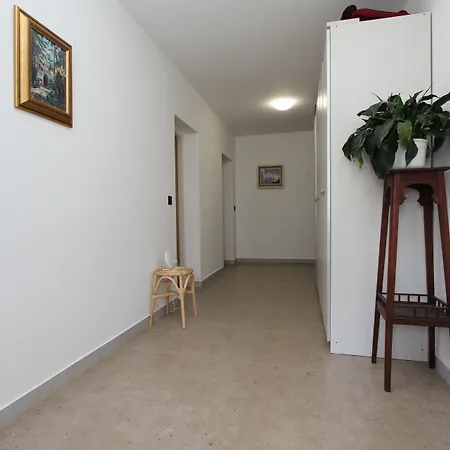 Apartment And Dino Rovinj